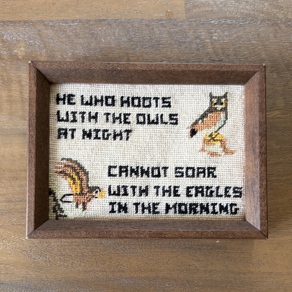 Framed Vintage Needlepoint Owl & Eagle Quote